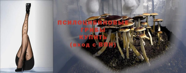 хмурый Майский